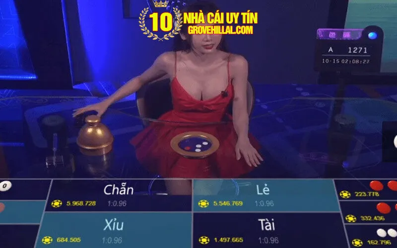 Ảnh minh họa về mẹo cược xóc đĩa