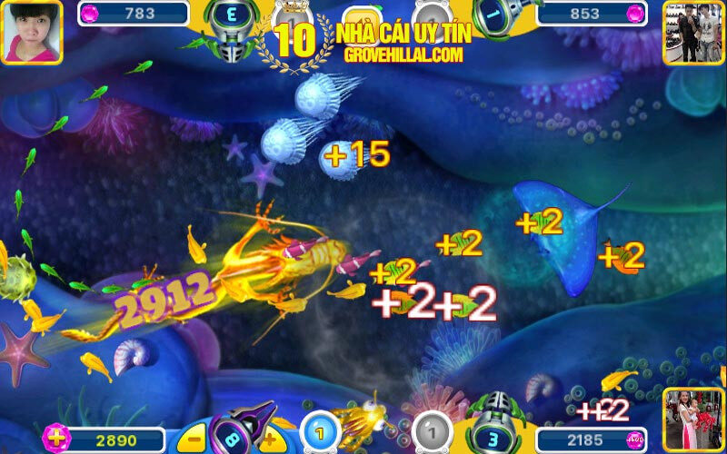 Giao diện siêu cá đẹp mắt