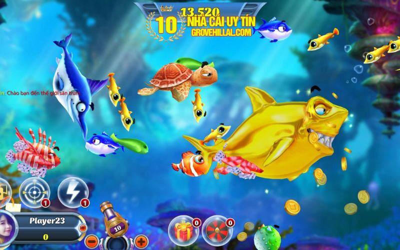Kinh nghiệm chơi Siêu Cá hiệu quả